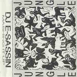 DJ E-Sassin - Mashing It Up flac album
