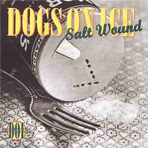 Dogs On Ice - Salt Wound flac album