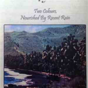 Dolphins Into The Future, Lieven Martens Moana - Two Colours, Nourished By Recent Rain flac album