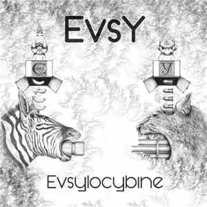 EvsY - Evsylocybine flac album