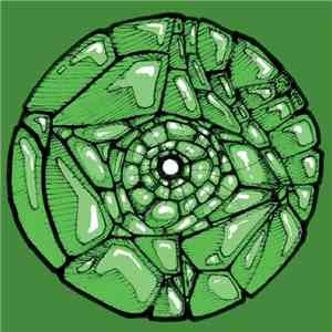Francisco Allendes - So Long Reptilians flac album