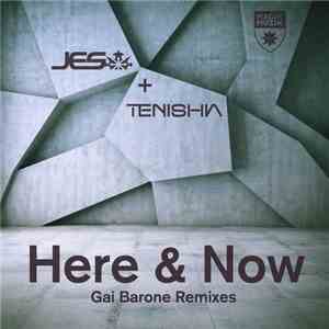 JES + Tenishia - Here & Now (Gai Barone Remixes) flac album