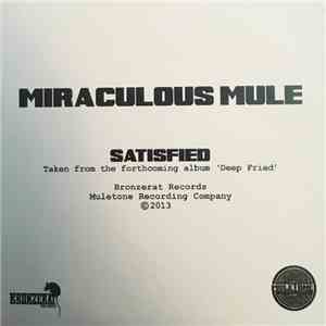 Miraculous Mule - Satisfied flac album
