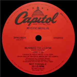Mystic Merlin / Neftali's Beast - Burned To Learn / Land Of The Drums flac album