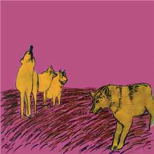 Ndf - Cruel Is The Color flac album