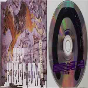 New Kingdom - Unicorns Were Horses flac album