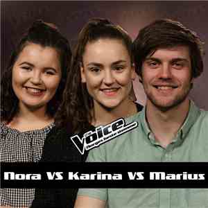Nora VS Karina VS Marius - Hurts So Good flac album