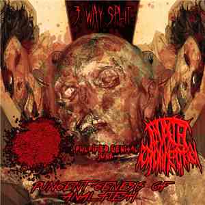 Salpingo-Oophorectomy, Pulpified Genital Junk, Tentacle Pornoyhymenomelagy - Pungent Genesis of Anal Flesh flac album
