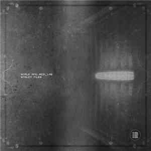 Scale  & Acid_Lab - Stolen Files EP flac album