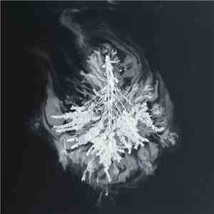 Seabuckthorn - Turns flac album