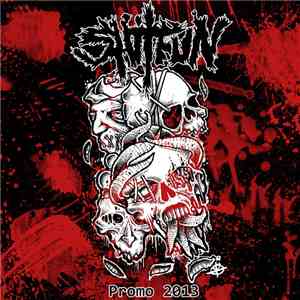 Shitfun - Promo 2013 flac album