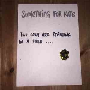 Something For Kate - The Answer To Both Your Questions flac album