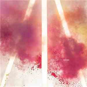 Son Lux - Bones flac album