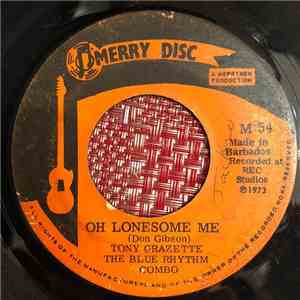 The Blue Rhythm Combo - Oh Lonesome Me flac album