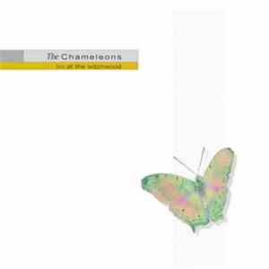 The Chameleons - Live At The Witchwood flac album