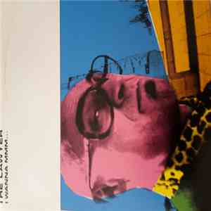The Lawyer - I Wanna Mmm... flac album