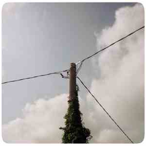 The Volume Settings Folder - Landmarks - Loops From An Emigration, Failed flac album