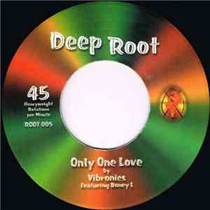Vibronics Feat. Boney L - Only One Love flac album