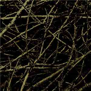 Accidental Tones - Desolation flac album