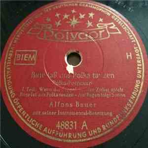 Alfons Bauer - Bitte Laß Uns Polka Tanzen flac album