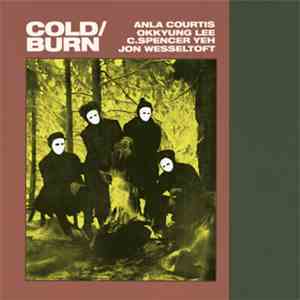 Anla Courtis / Okkyung Lee / C. Spencer Yeh / Jon Wesseltoft - Cold / Burn flac album