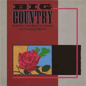 Big Country - Where The Rose Is Sown flac album