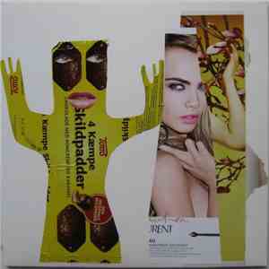 C. Mehrl Bennett / PAAK / Danielle Lemaire / Mama Bär / Emil Siemeister / Magnús Pálsson - fluxus = cars w/o panties flac album