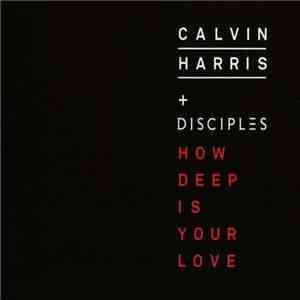 Calvin Harris + Disciples  - How Deep Is Your Love flac album