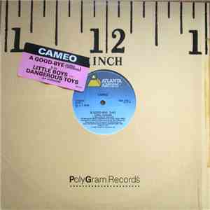 Cameo - A Good-Bye flac album