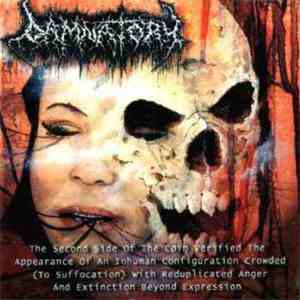 Damnatory - The Second Side Of The Coin Verified The Appearance Of An Inhuman Configuration Crowded (To Suffocation) With Reduplicated Anger And Extinction Beyond Expression flac album