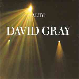 David Gray - Alibi flac album