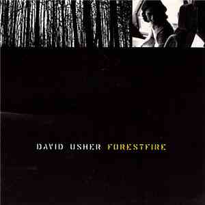 David Usher - Forestfire flac album