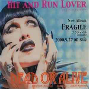 Dead Or Alive - Hit And Run Lover flac album