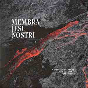 Dieterich Buxtehude, Vox Scaniensis, Peter Wallin - Membra Jesu Nostri flac album