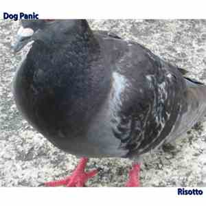 Dog Panic - Risotto flac album