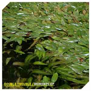 Double Trouble  - Moments EP flac album