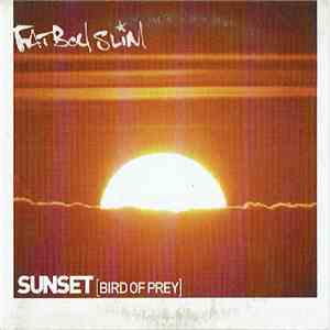 Fatboy Slim - Sunset (Bird Of Prey) flac album