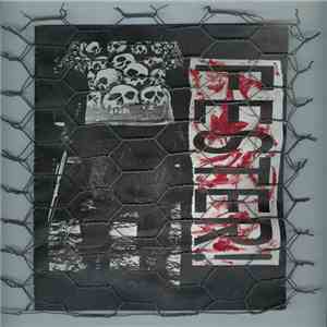 FESTER! - Self-titled flac album