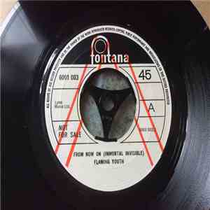 Flaming Youth - From Now On (Immortal Invisible) flac album