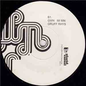 Gruff Rhys - Gwn Mi Wn flac album