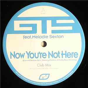 GTS Feat. Melodie Sexton - Now You're Not Here / Take To The Sky flac album