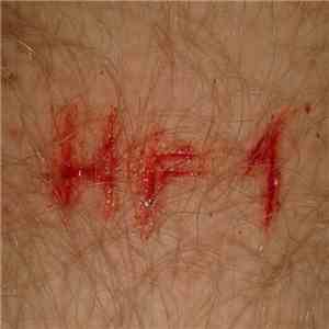 Hooligan Faust - HF1 flac album