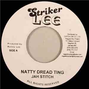 Jah Stitch / The Aggrovators - Natty Dread Ting / Version flac album