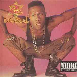 Jr. Demus - Bad Fowl flac album