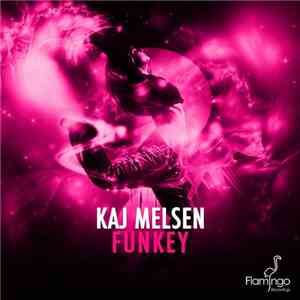 Kaj Melsen - Funkey flac album