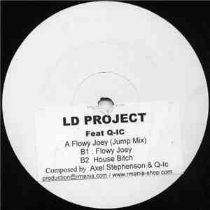 LD Project Feat Q-ic - Flowy Joey flac album