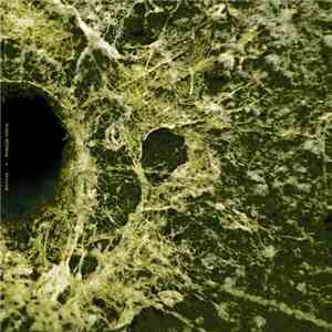 Mentat  - Amarillo Abisal flac album