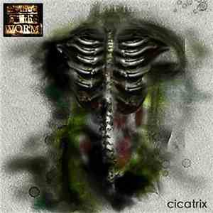 Method Of The W.O.R.M. - Cicatrix flac album