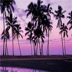 Mettphonic & Toetensen - Beach Hazers flac album