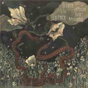 Micah Blue Smaldone - Hither And Thither flac album